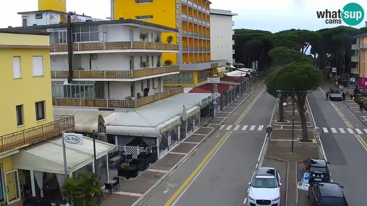 Livecam Rosolina mare