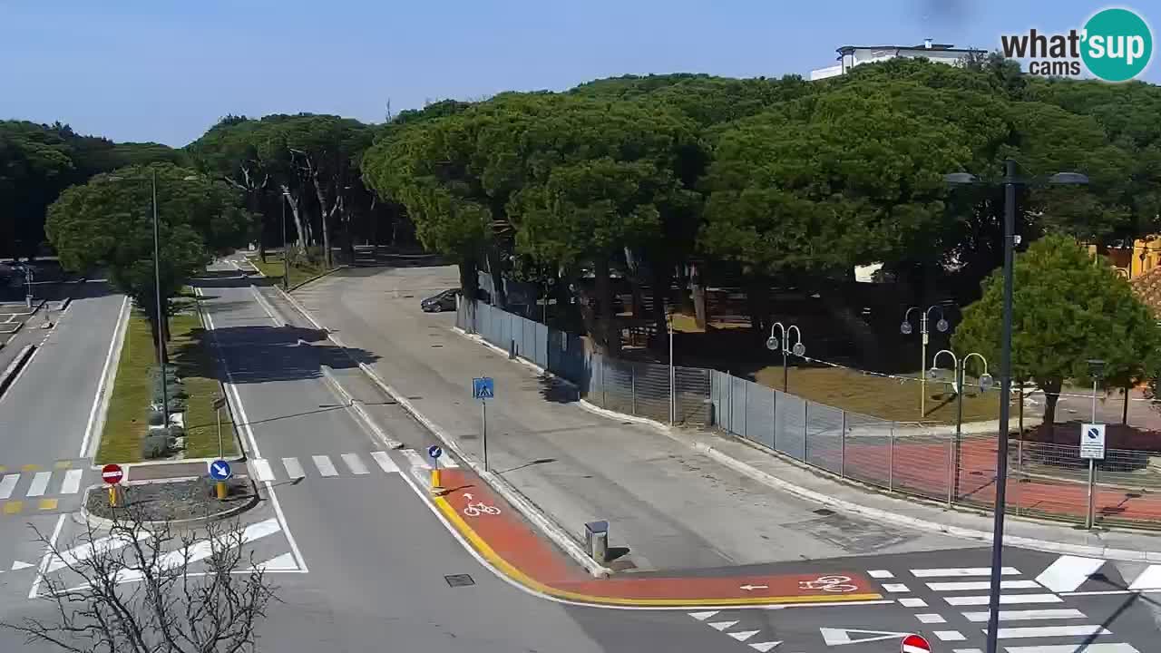 Camera en vivo Rosolina mare