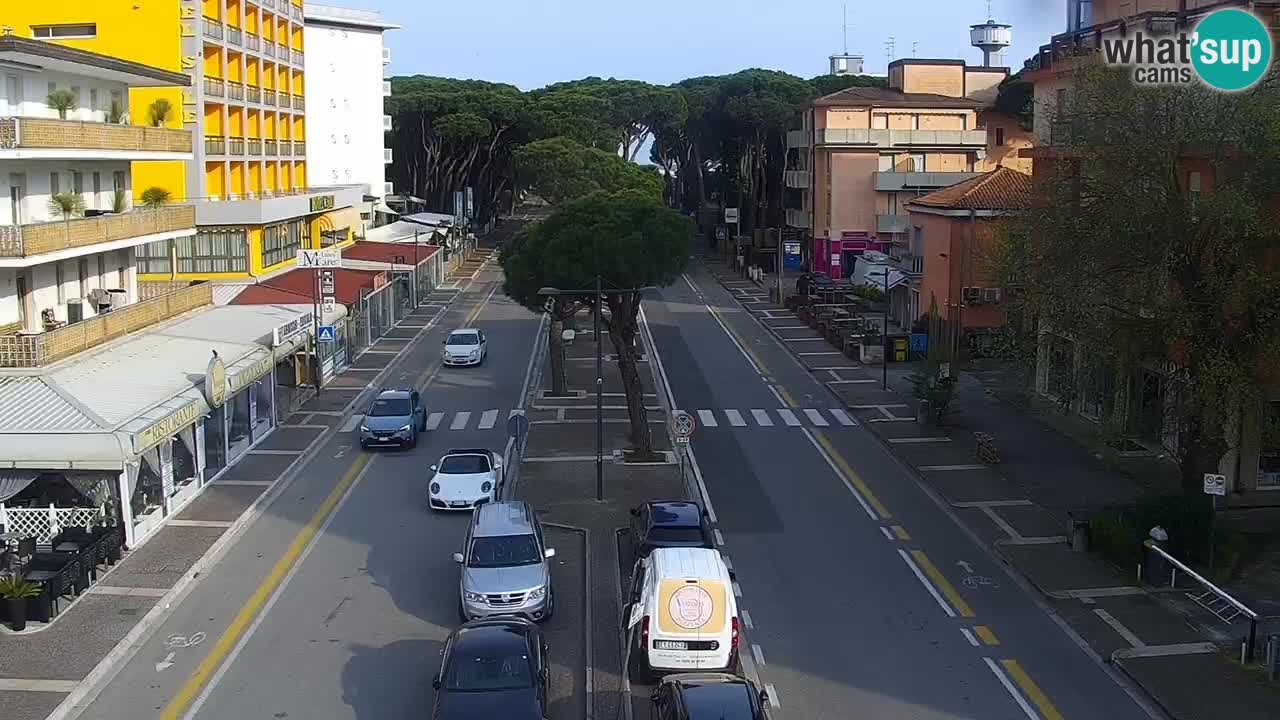 Camera en vivo Rosolina mare