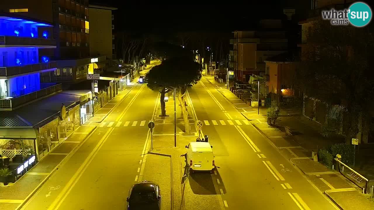 Camera en vivo Rosolina mare