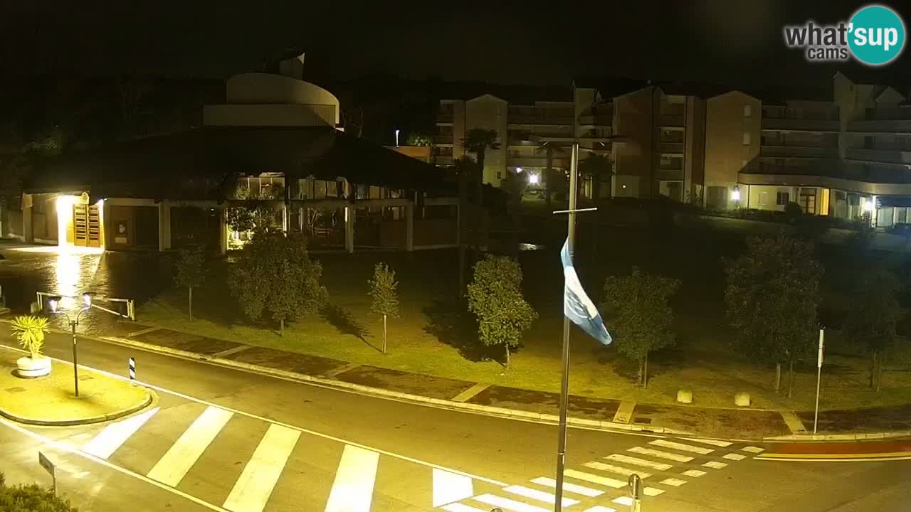 Livecam Rosolina mare