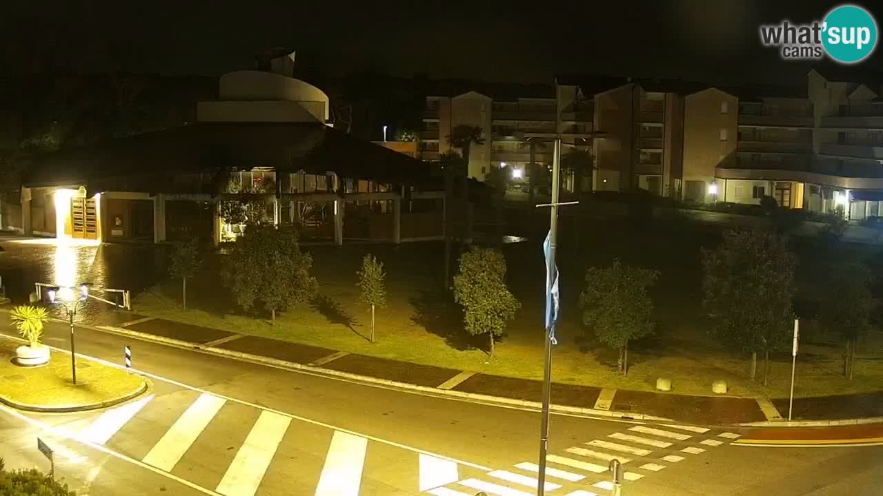 Livecam Rosolina mare