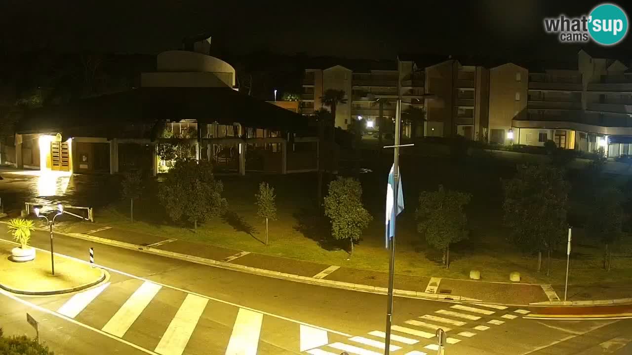 Camera en vivo Rosolina mare