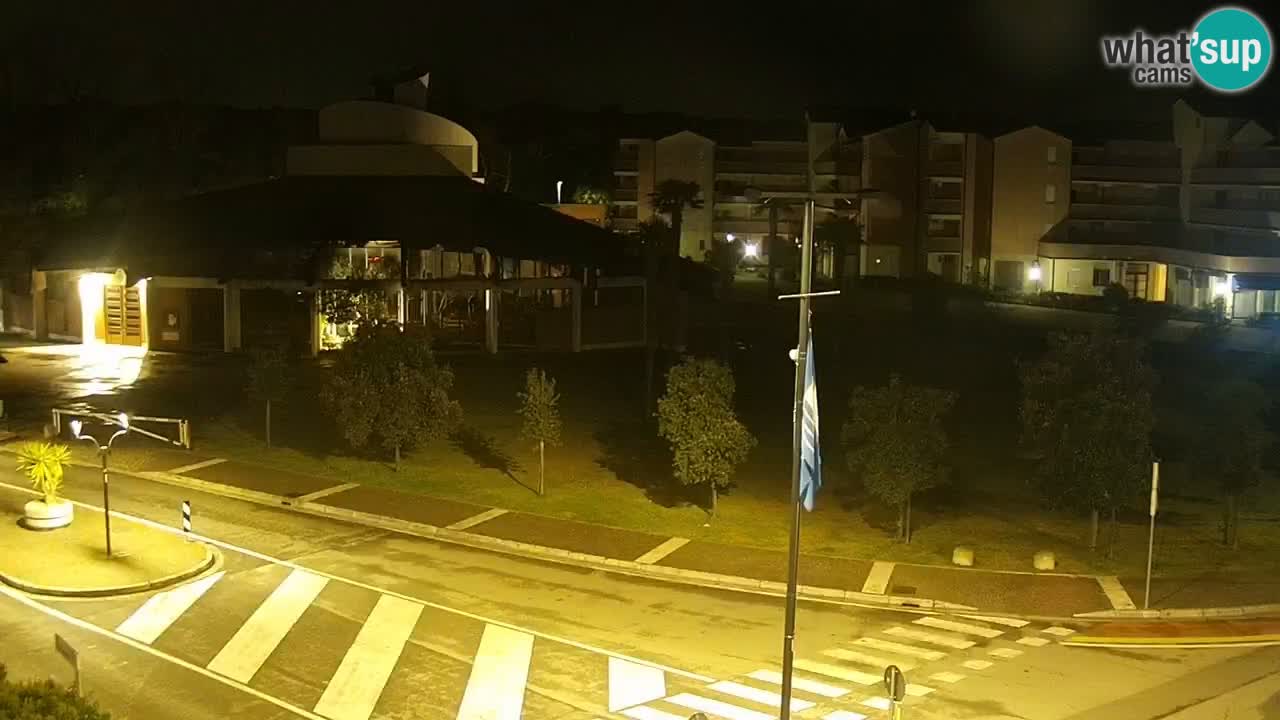 Livecam Rosolina mare