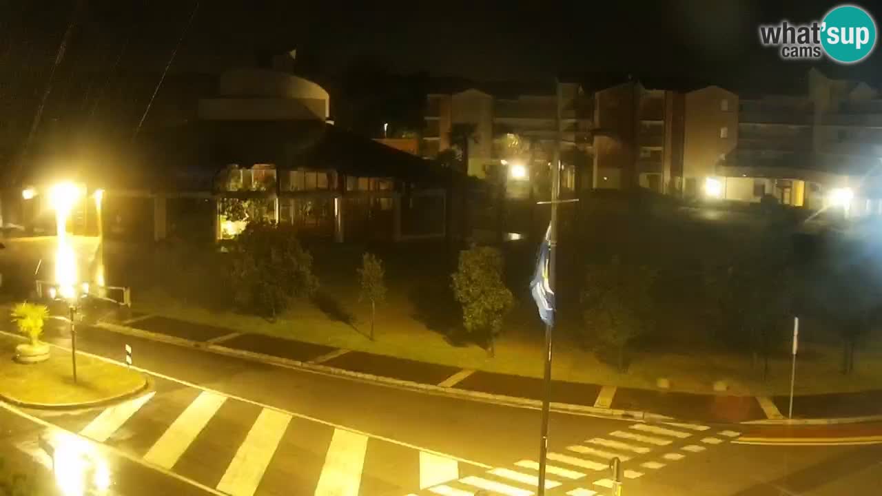 Livecam Rosolina mare