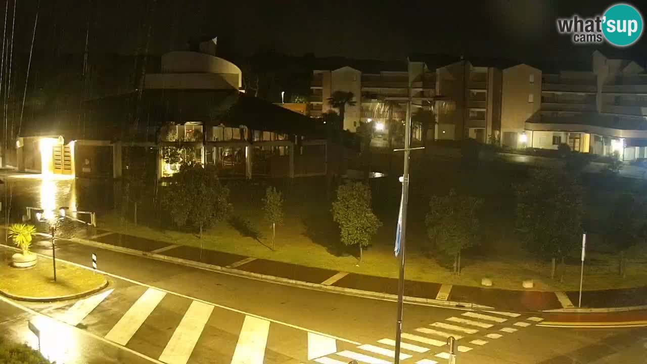 Livecam Rosolina mare