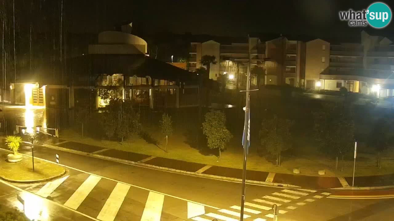 Camera en vivo Rosolina mare