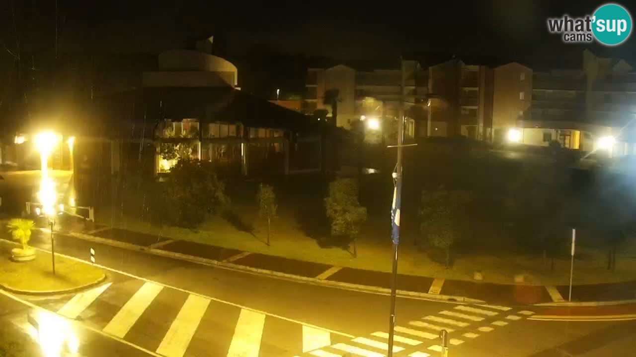 Livecam Rosolina mare