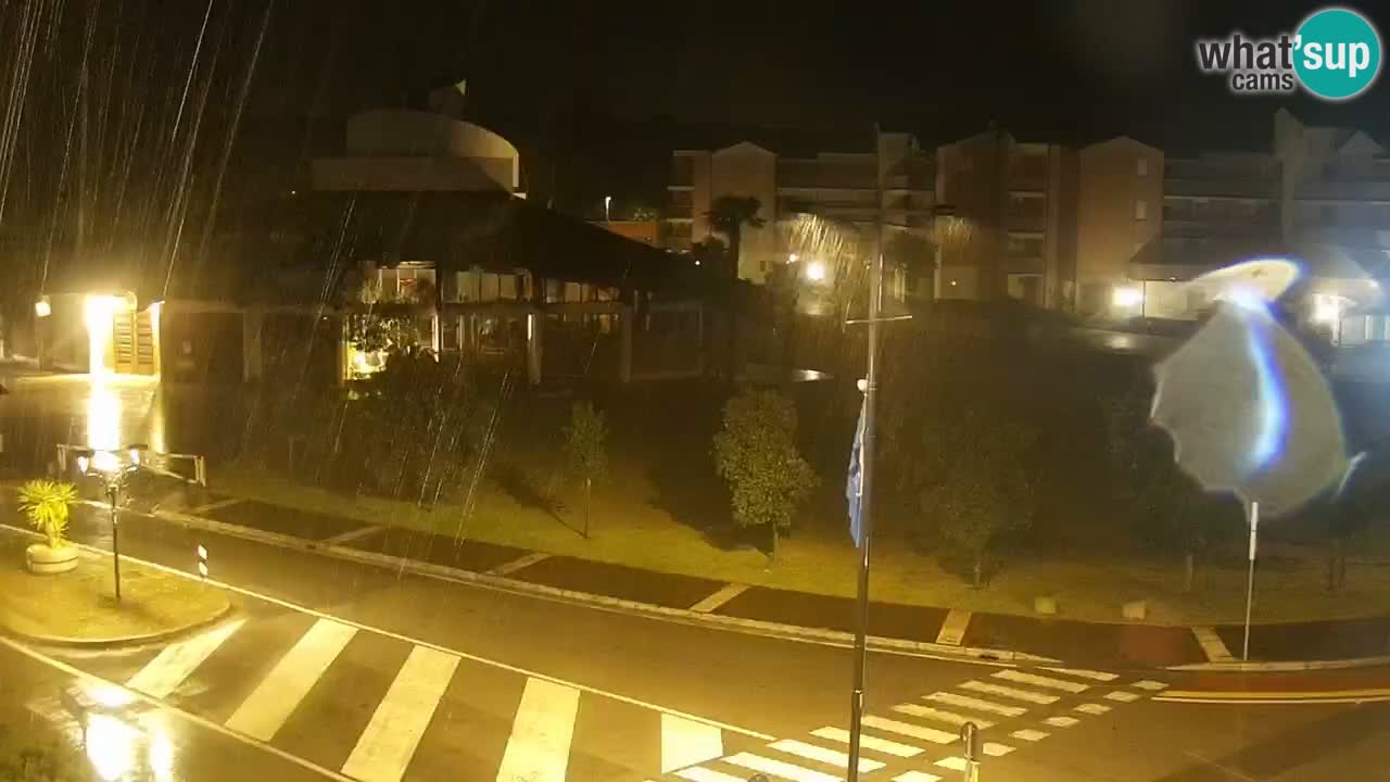 Camera en vivo Rosolina mare