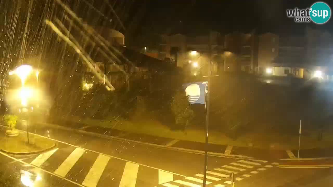 Camera en vivo Rosolina mare