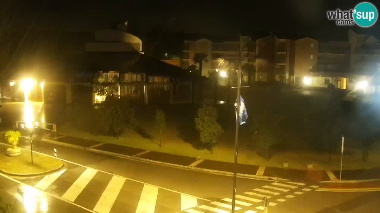 Livecam Rosolina mare