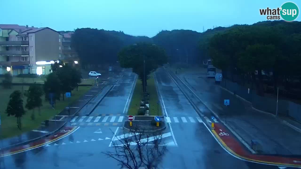 Camera en vivo Rosolina mare