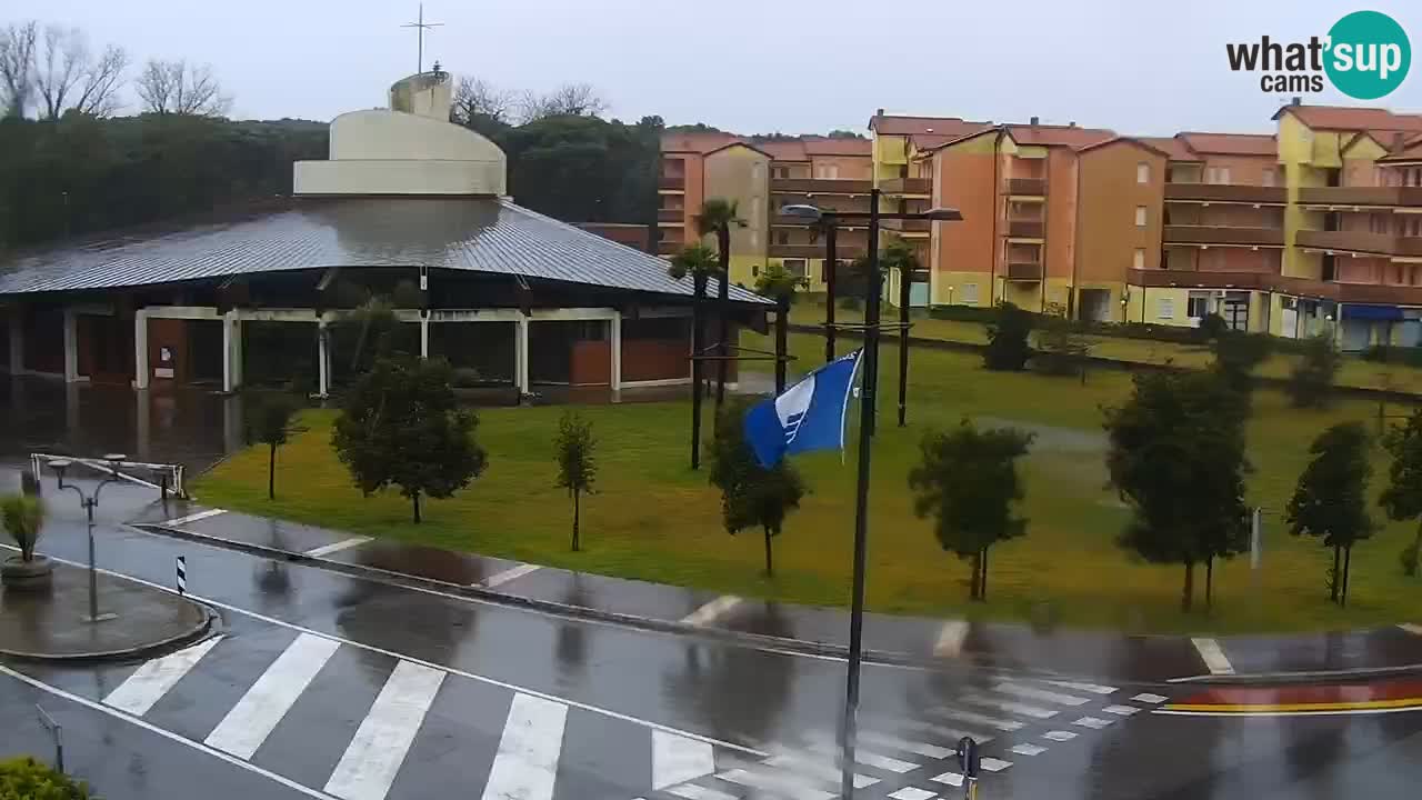 Livecam Rosolina mare