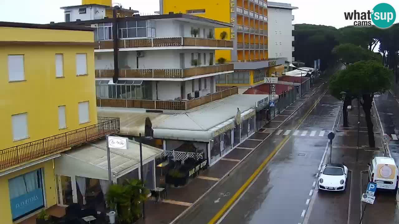 Livecam Rosolina mare