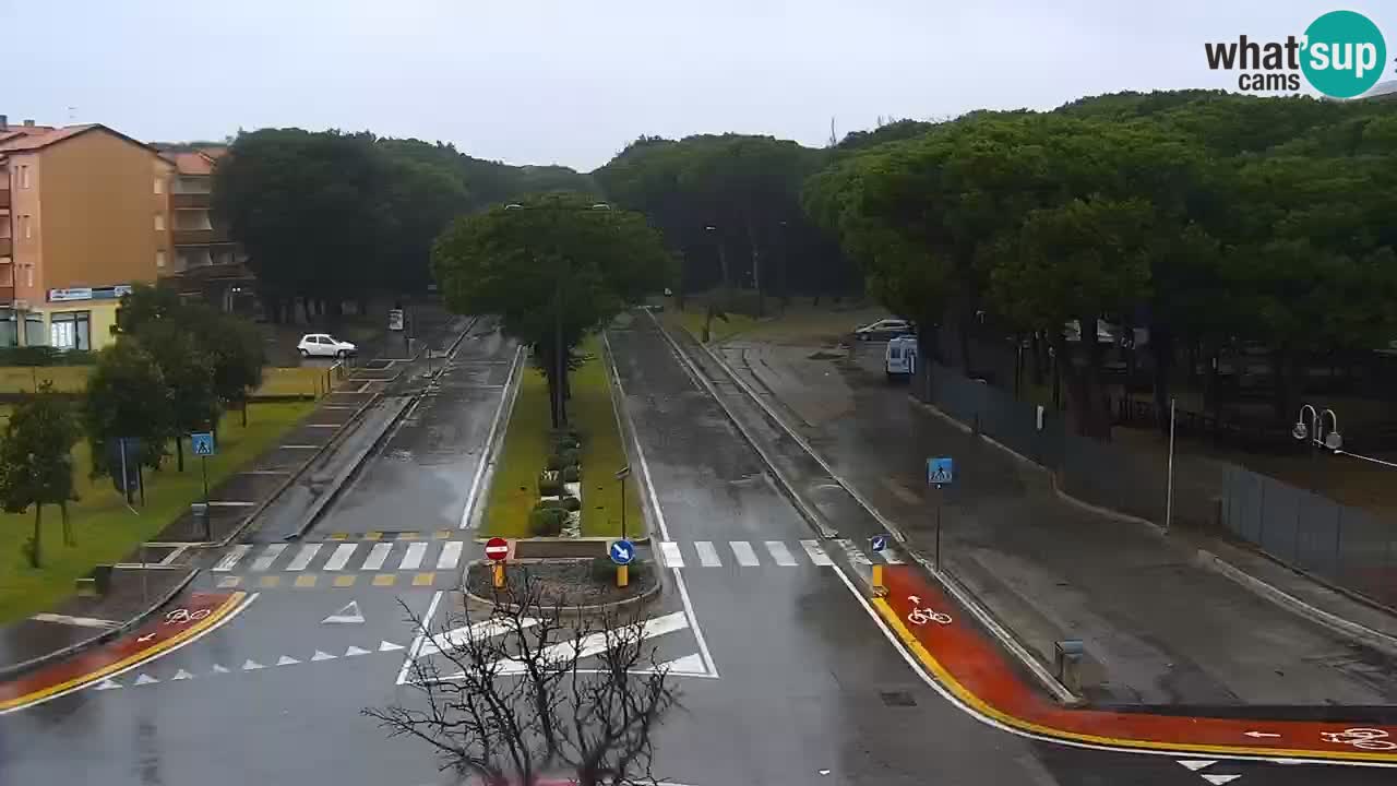 Livecam Rosolina mare