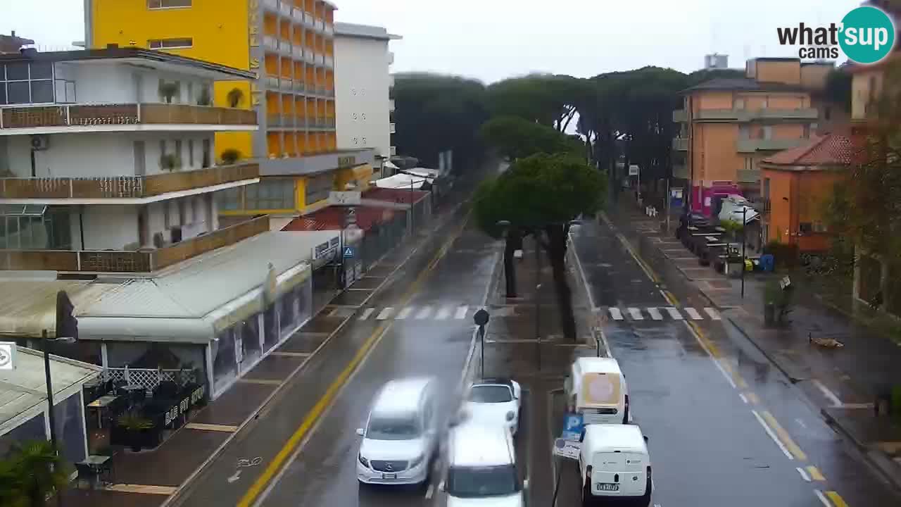 Camera en vivo Rosolina mare