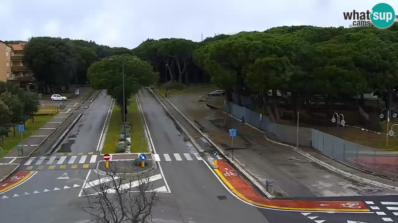 Livecam Rosolina mare