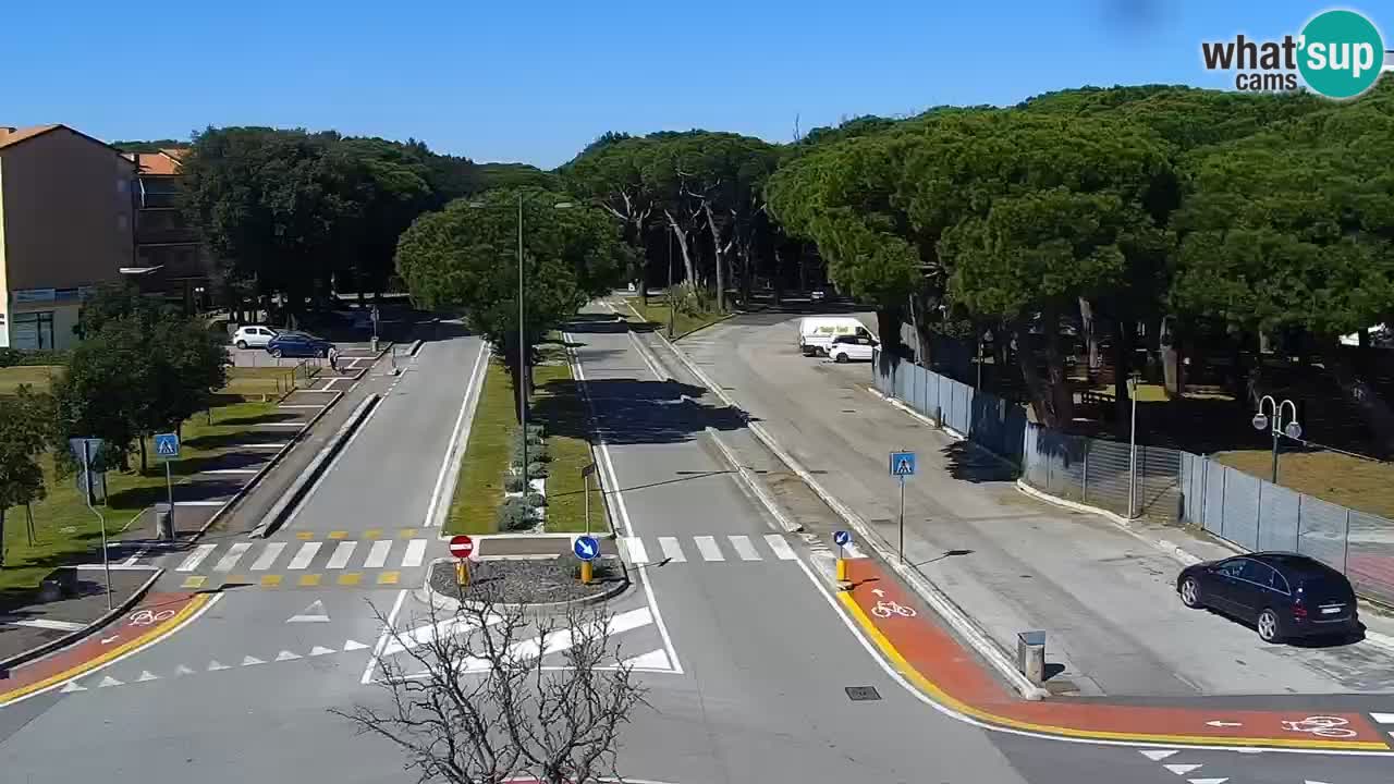 Livecam Rosolina mare