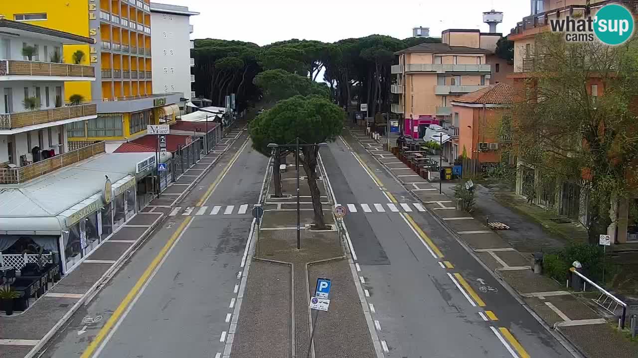 Livecam Rosolina mare