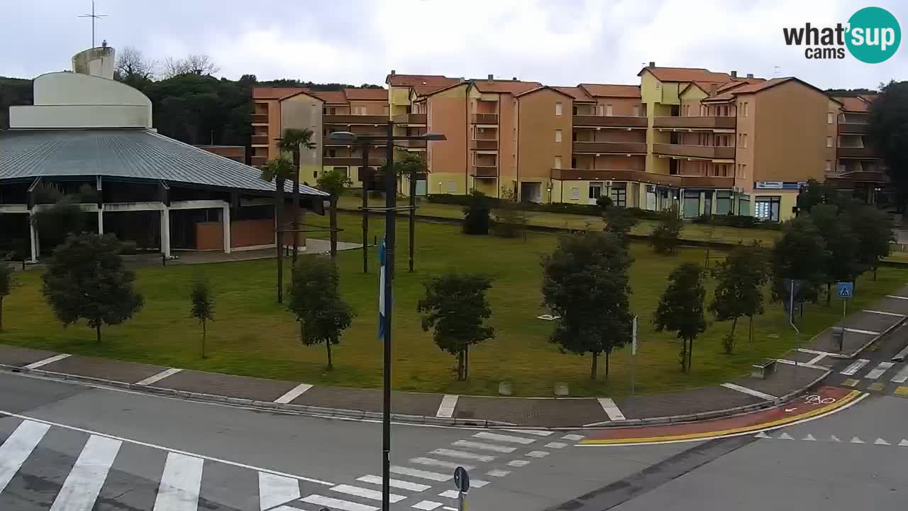 Livecam Rosolina mare