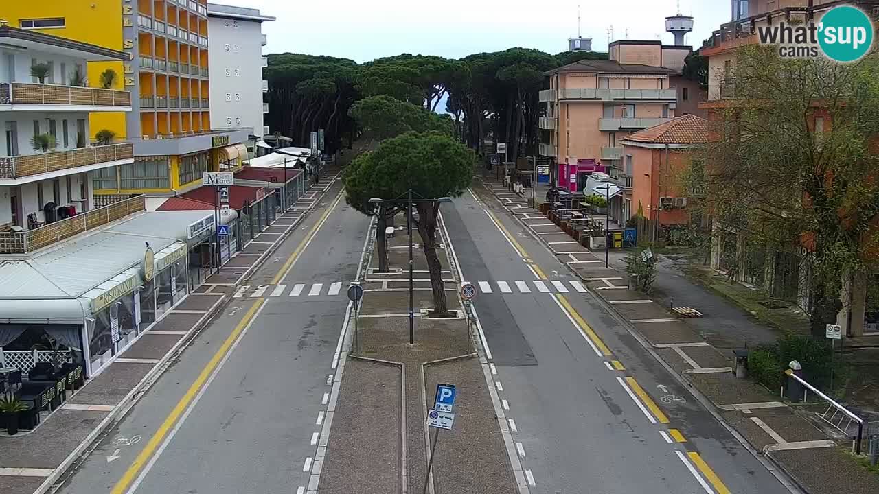 Livecam Rosolina mare