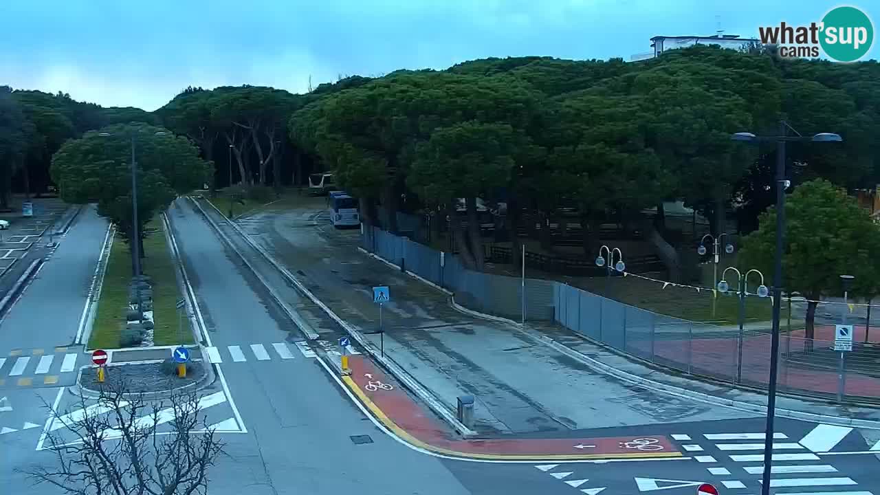 Camera en vivo Rosolina mare