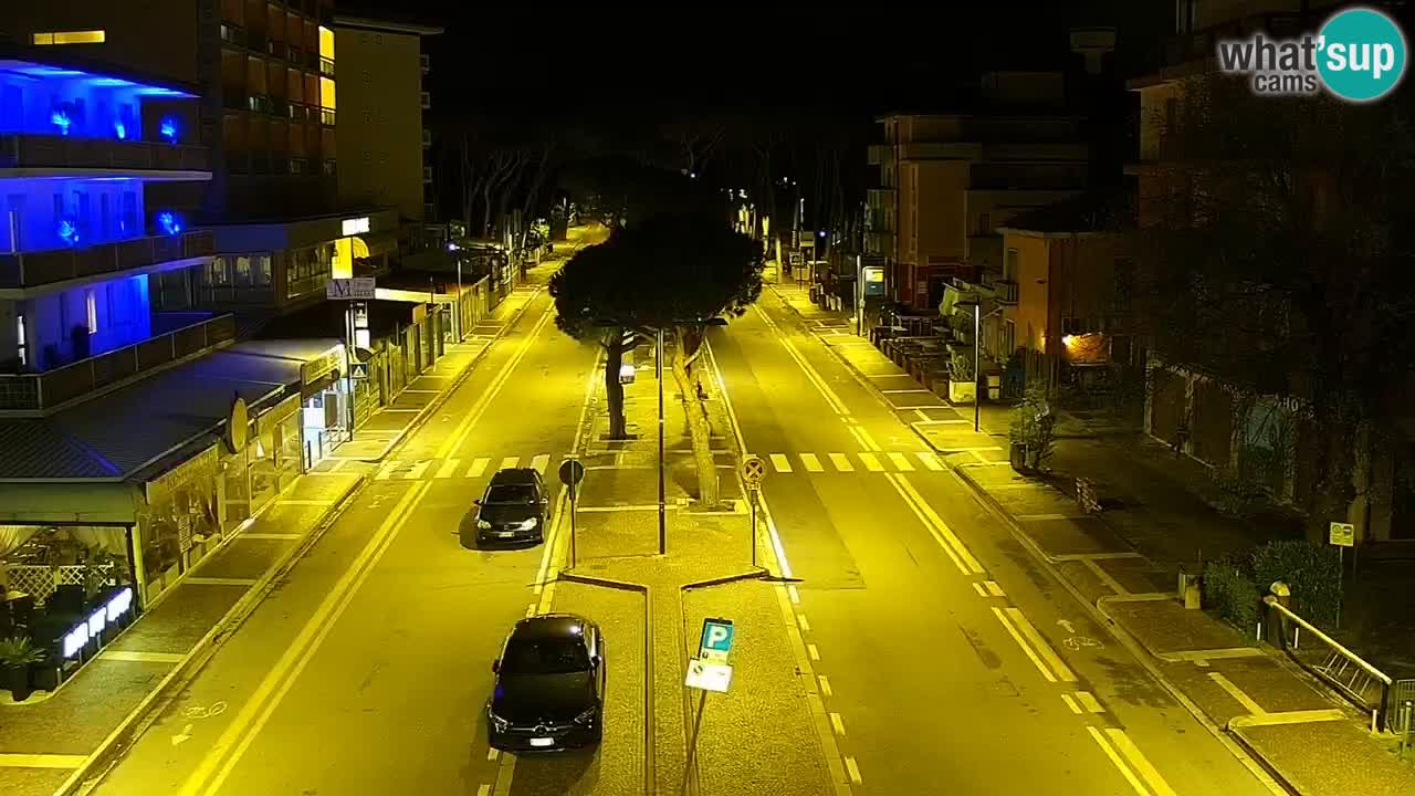 Livecam Rosolina mare