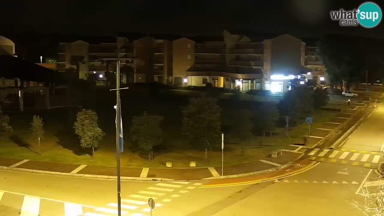 Livecam Rosolina mare