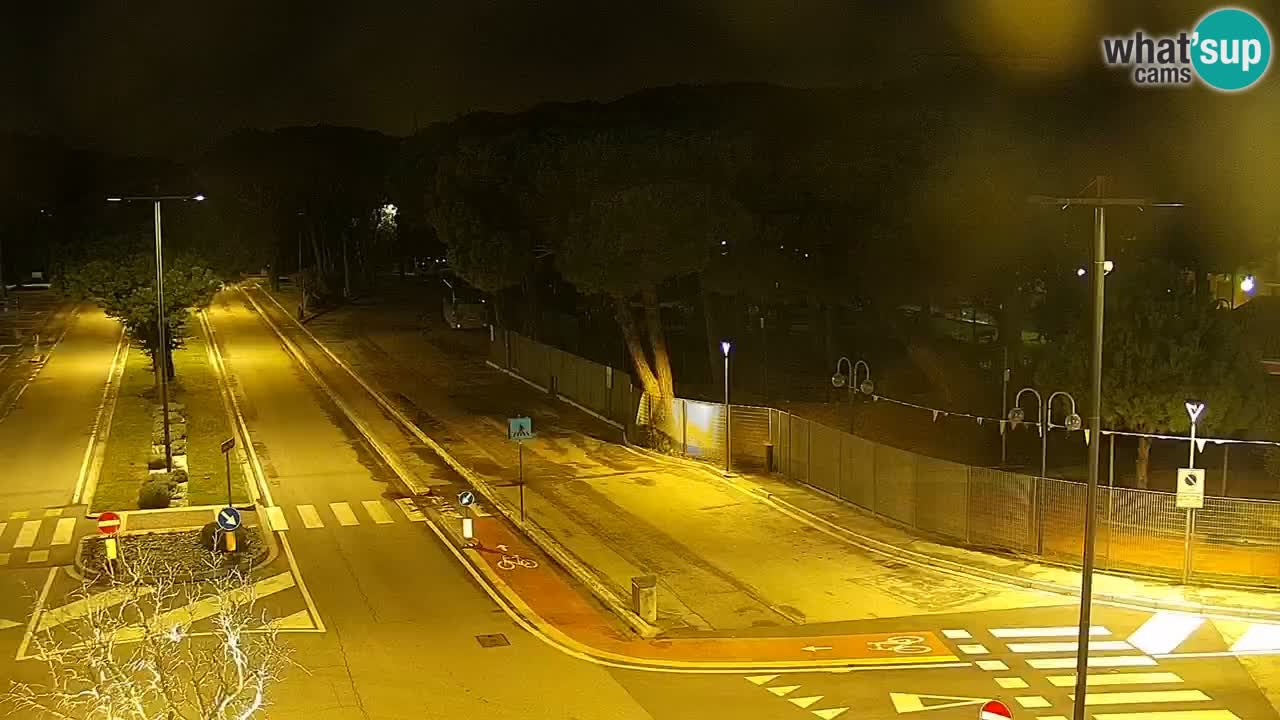 Camera en vivo Rosolina mare