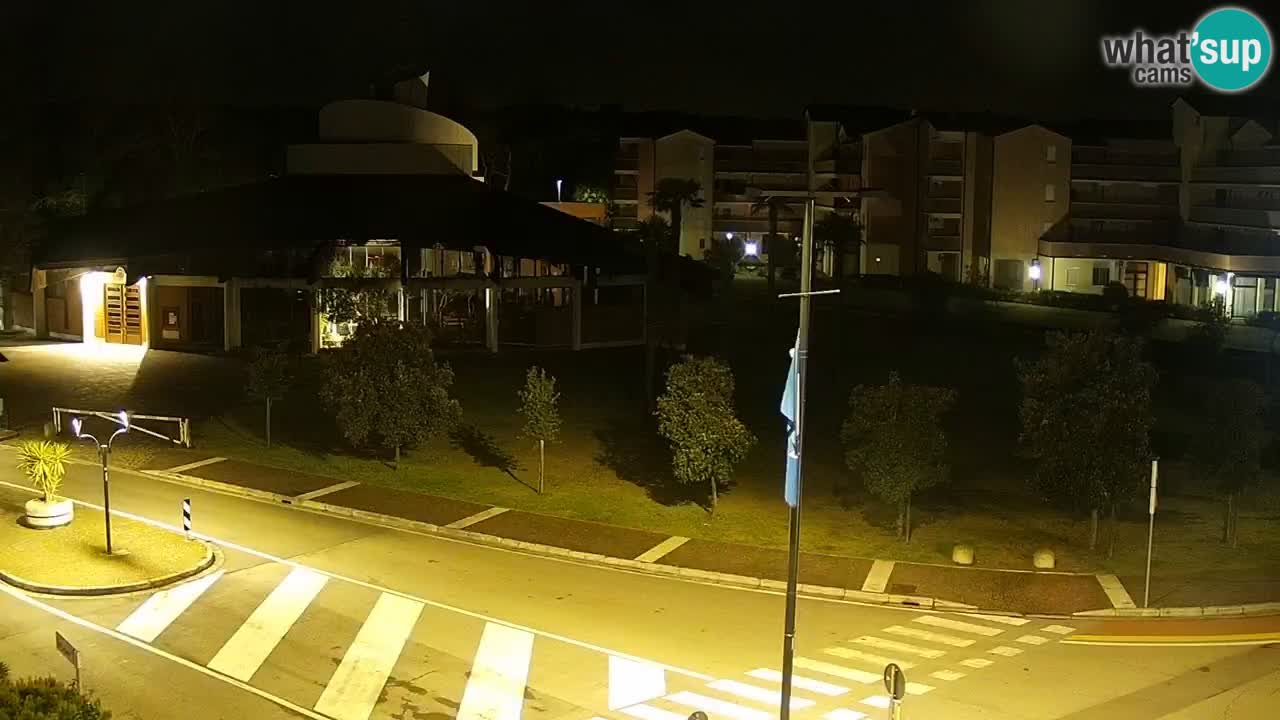 Livecam Rosolina mare