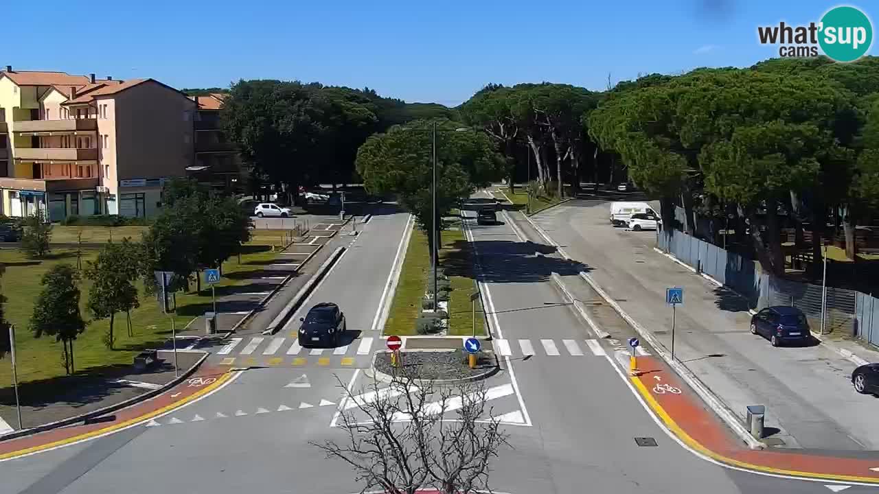 Camera en vivo Rosolina mare