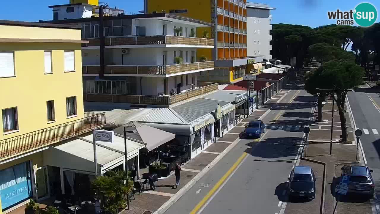 Livecam Rosolina mare