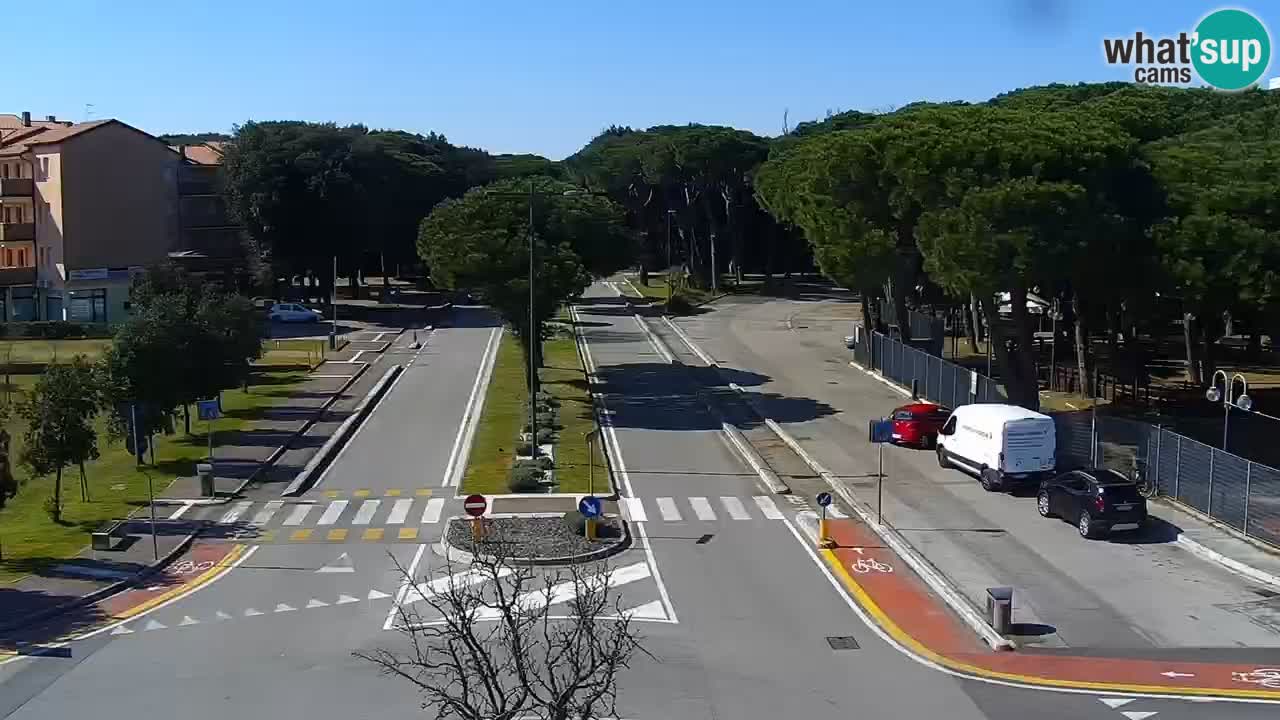 Livecam Rosolina mare