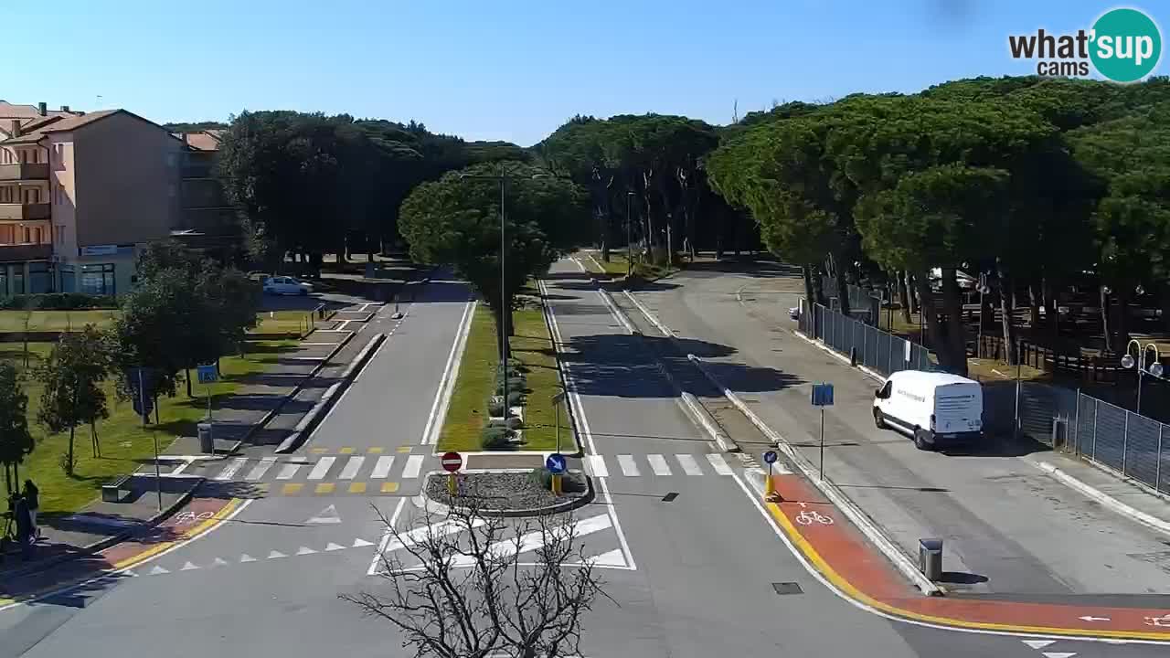 Camera en vivo Rosolina mare