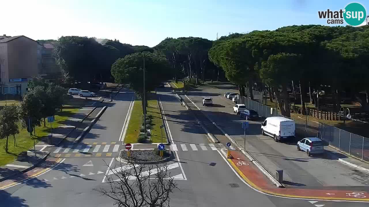 Livecam Rosolina mare