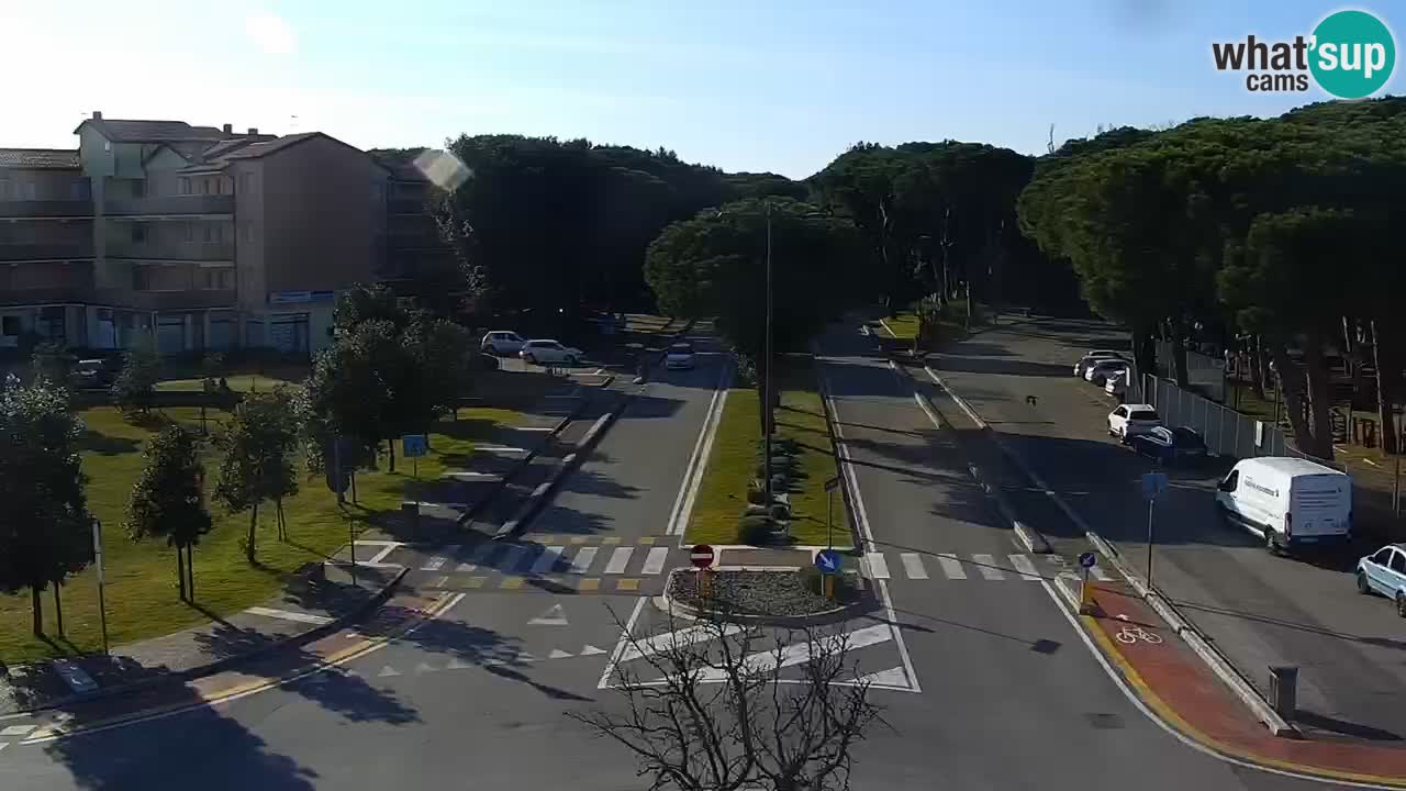 Camera en vivo Rosolina mare