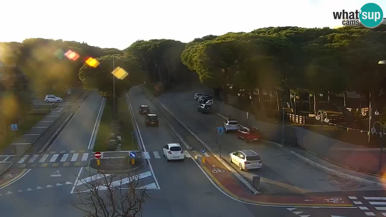 Camera en vivo Rosolina mare