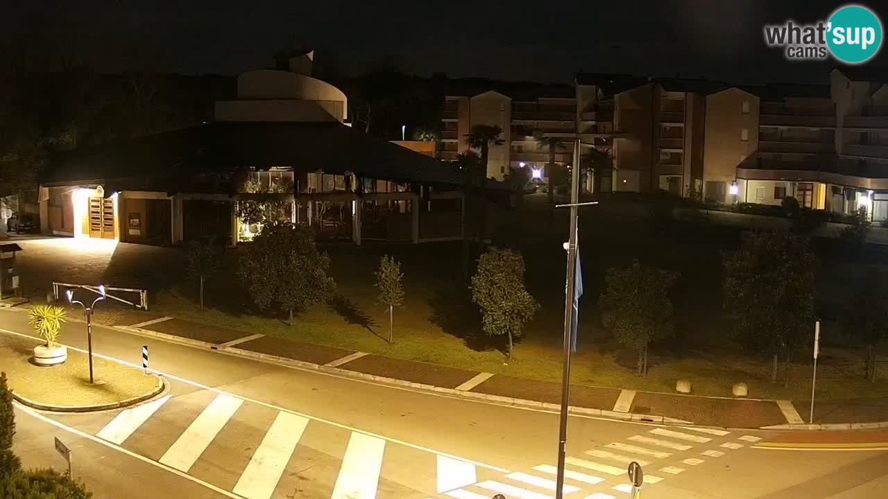 Camera en vivo Rosolina mare