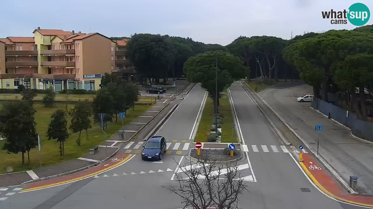 Livecam Rosolina mare