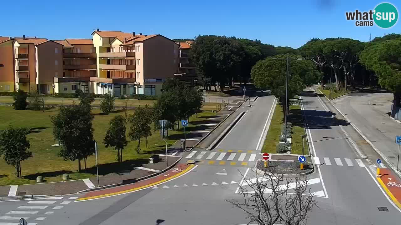 Camera en vivo Rosolina mare