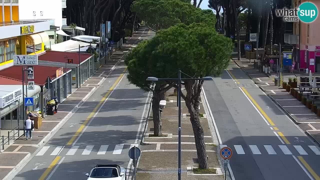 Web kamera Rosolina mare