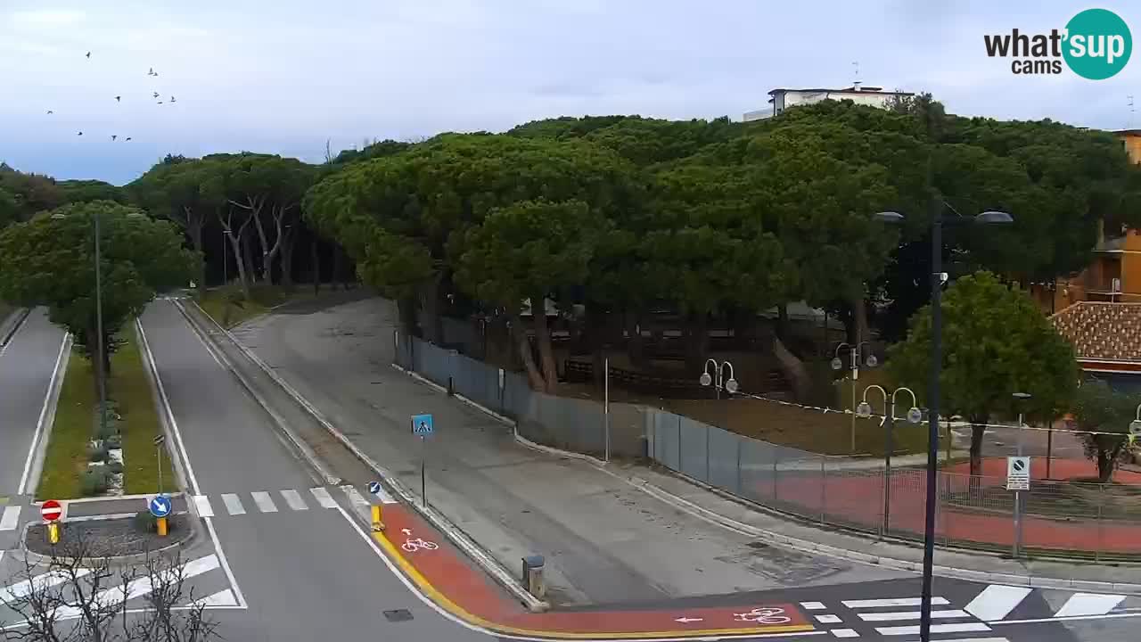 Web kamera Rosolina mare