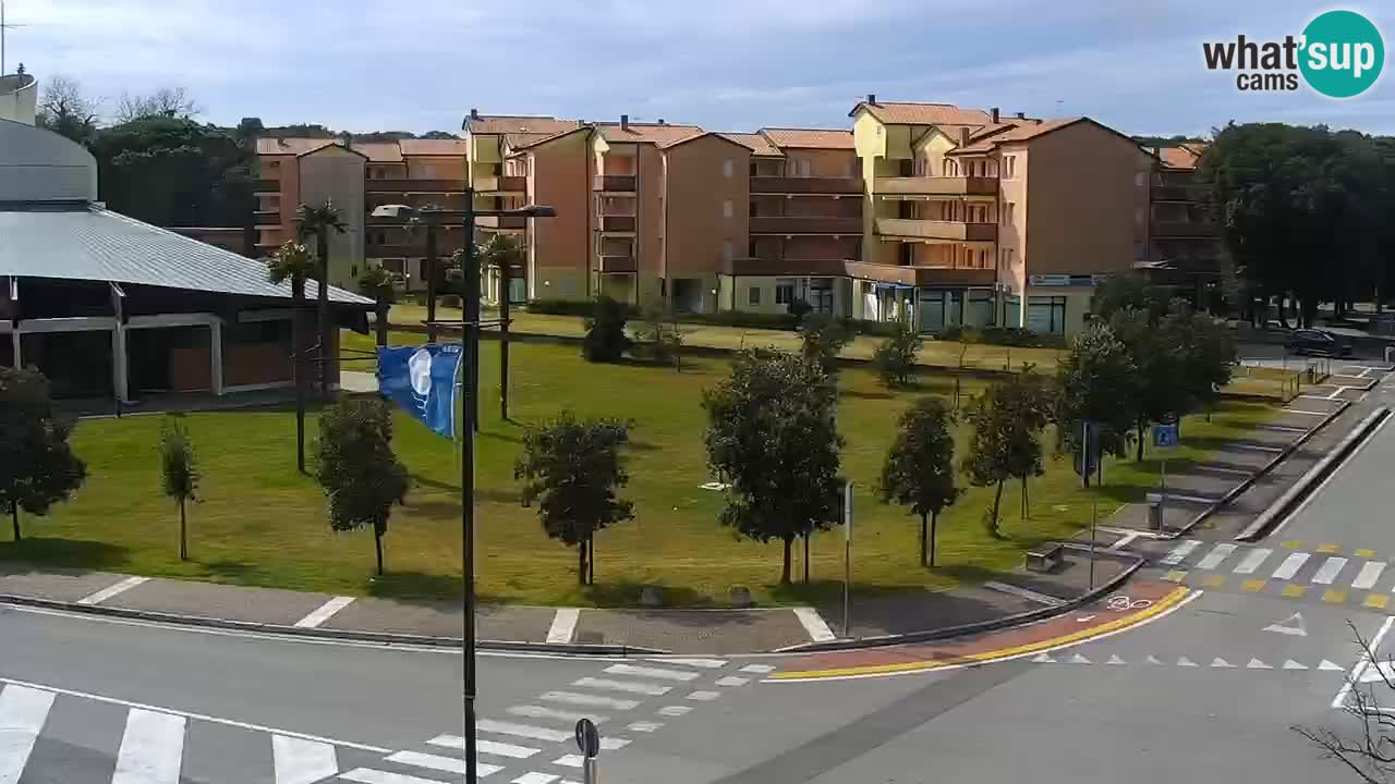 Camera en vivo Rosolina mare