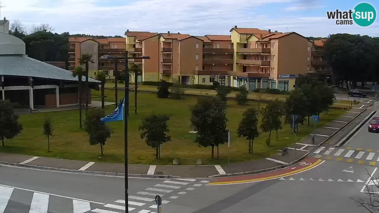 Camera en vivo Rosolina mare