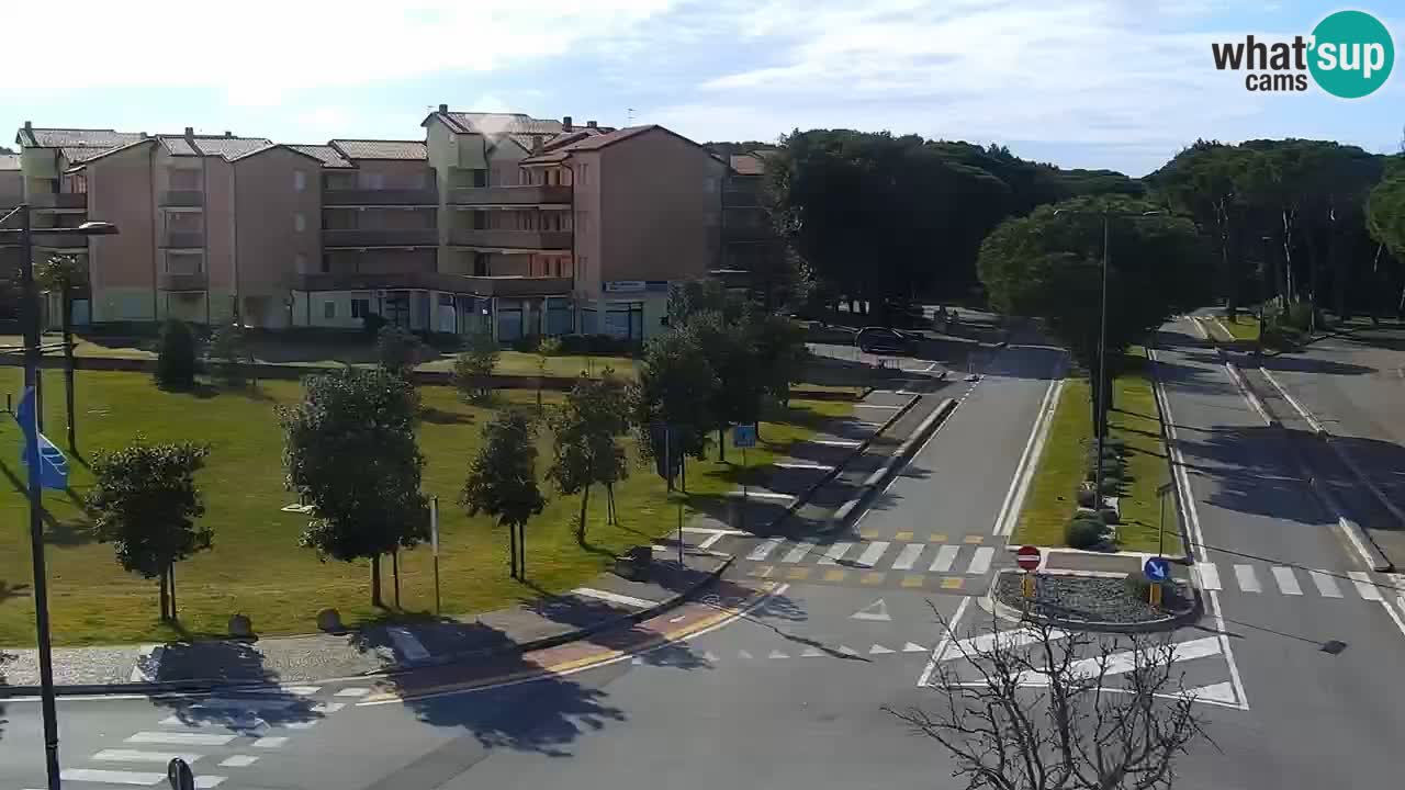 Camera en vivo Rosolina mare