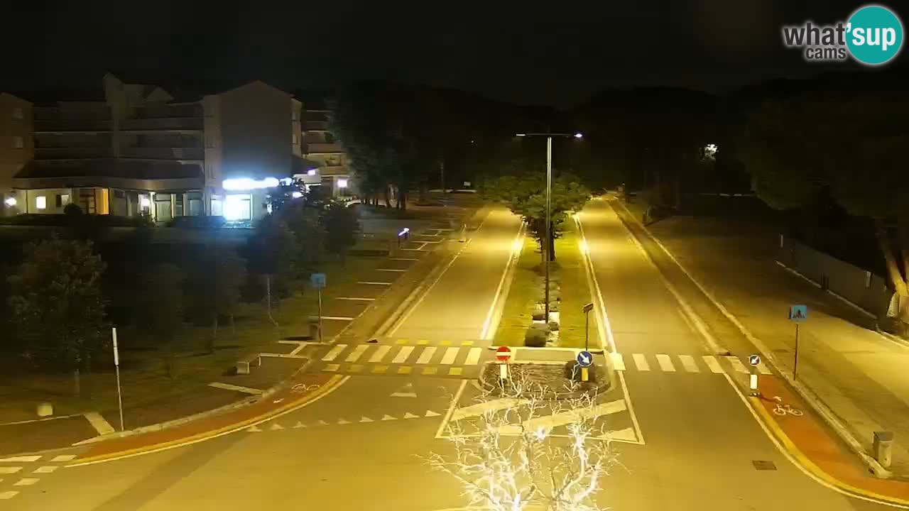 Livecam Rosolina mare