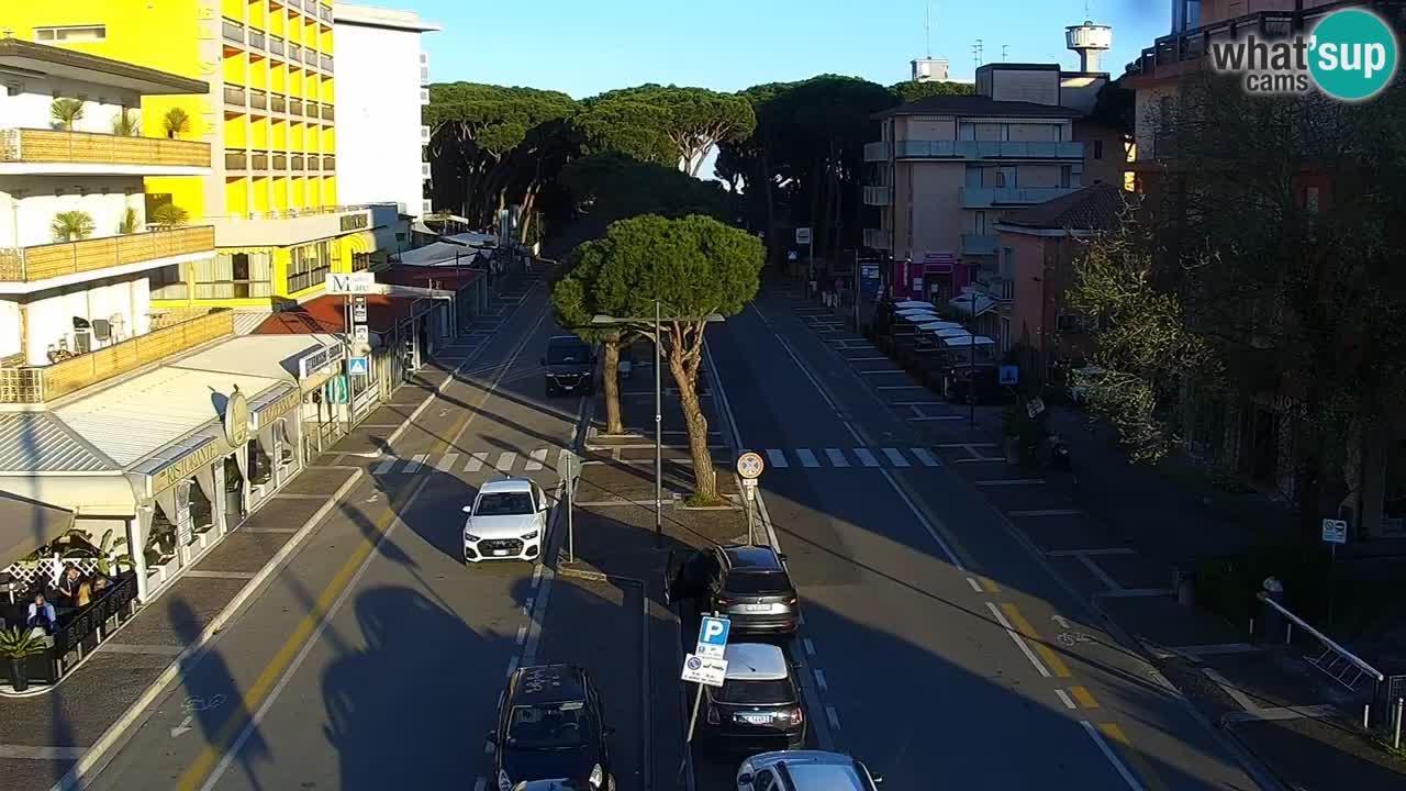 Camera en vivo Rosolina mare