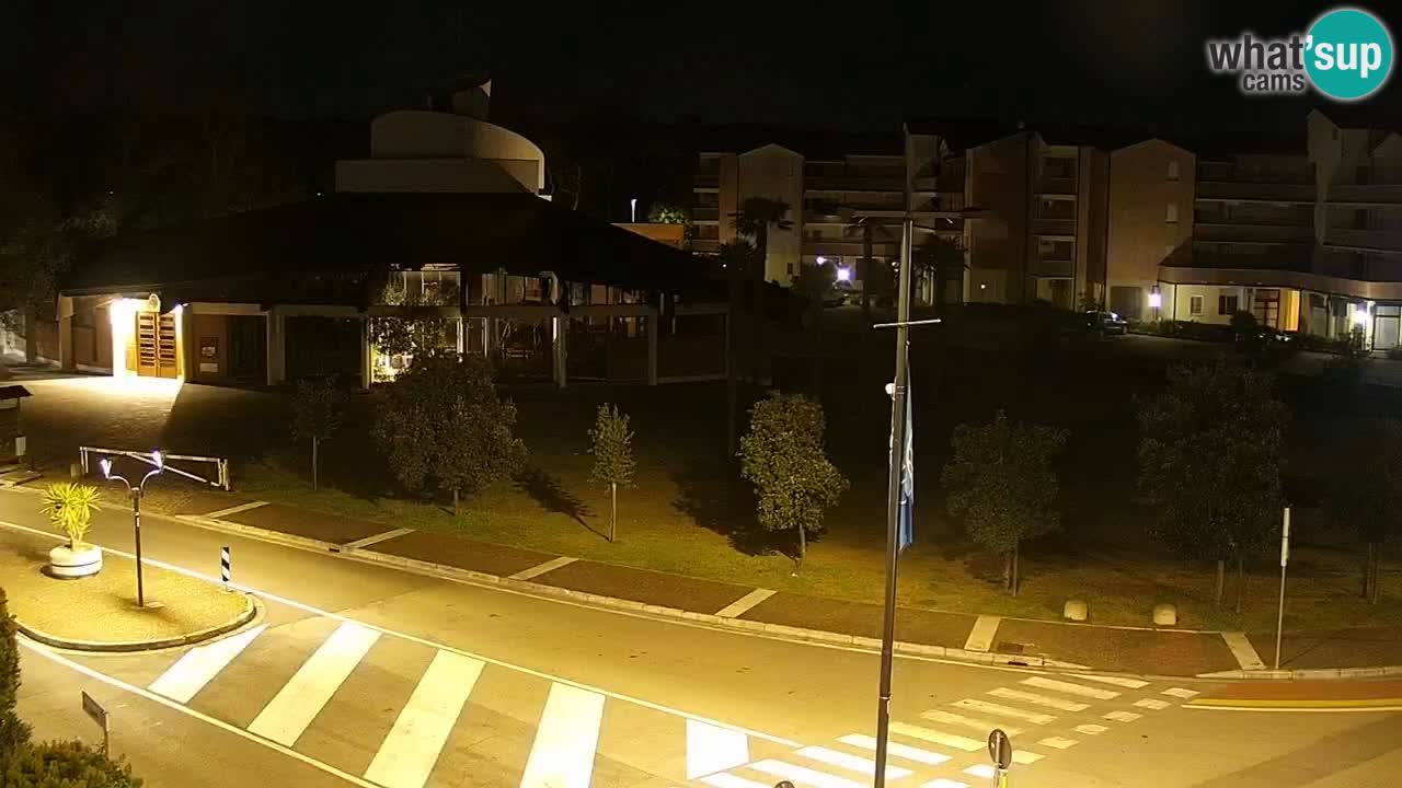 Camera en vivo Rosolina mare