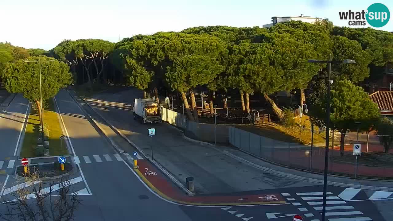 Camera en vivo Rosolina mare