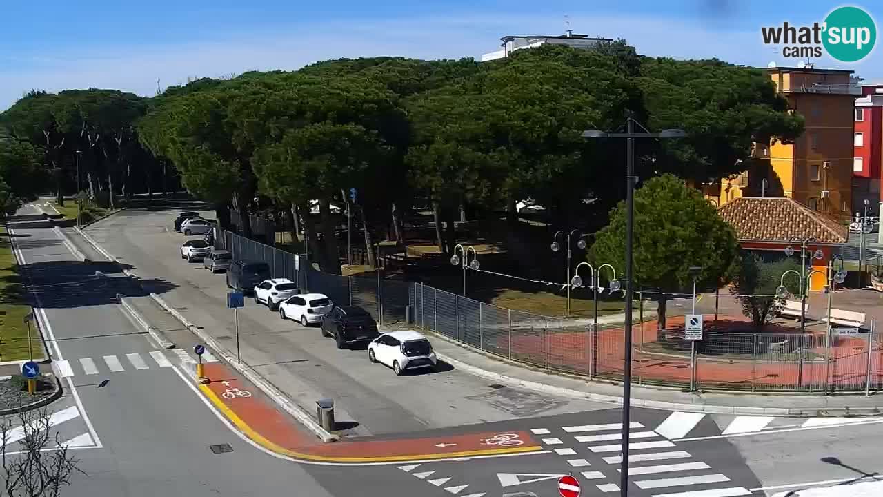 Camera en vivo Rosolina mare